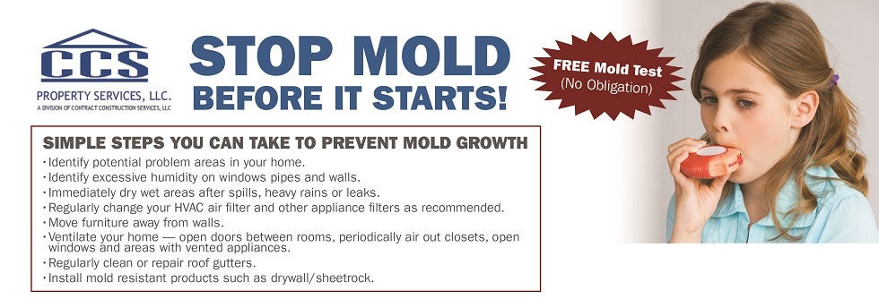 Mold Prevention Tips-Stop Mold Before It Starts