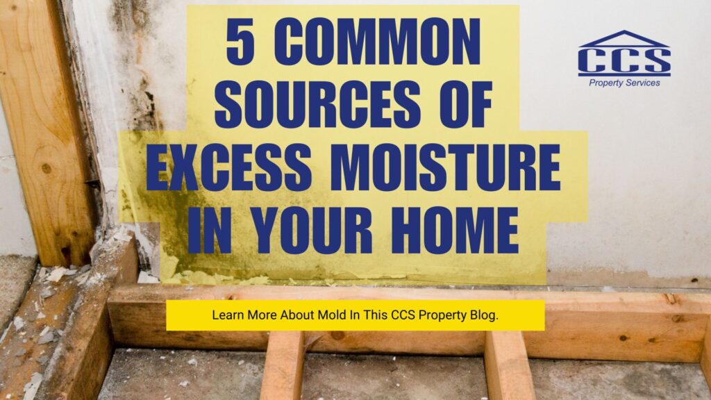 5 Common Sources of Excess Moisture in Your Home.