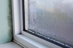 condensation on windows causing mold
