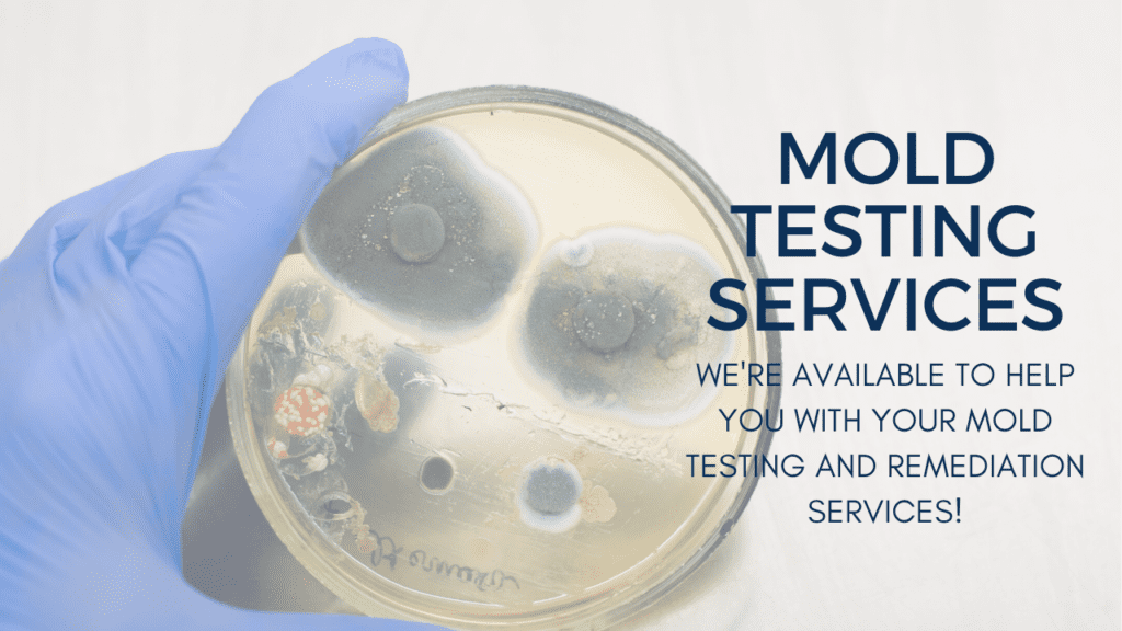 mold testing services wisconsin