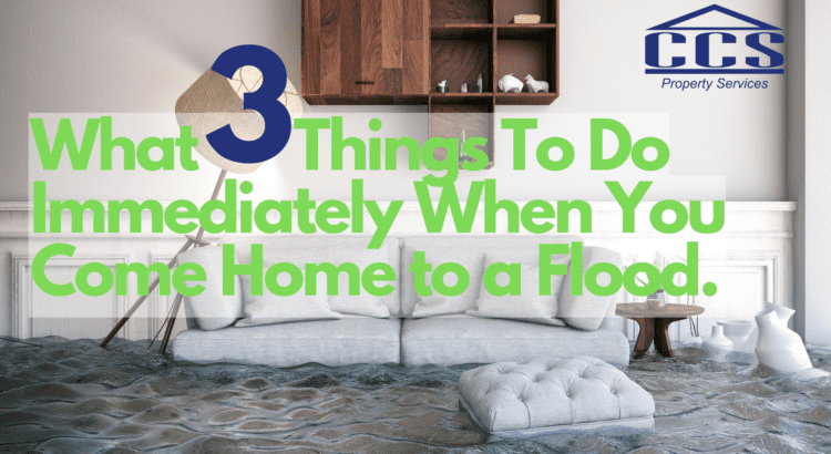 Flood in home and what to do next