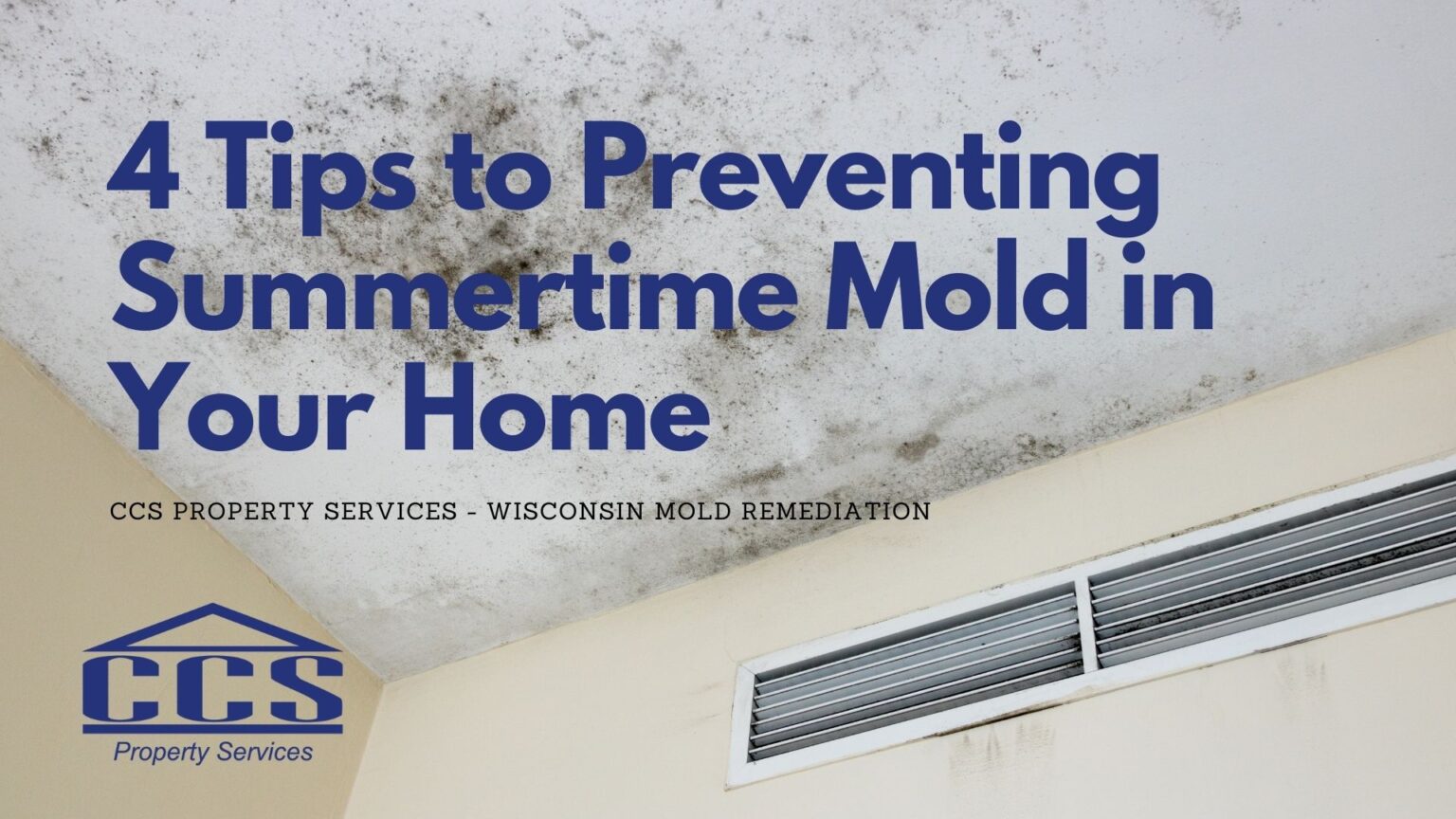 If it’s Hot and Humid this Summer, Be on the Lookout for Mold! Mold