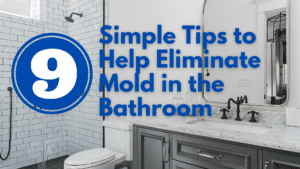 Simple Tips To Help Eliminate Mold in the Bathroom